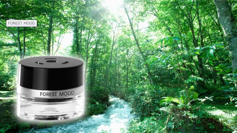 Nước hoa Mercedes Benz chính hãng forest mood d1store.vn-8