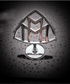 logo maybach đứng nắp capo